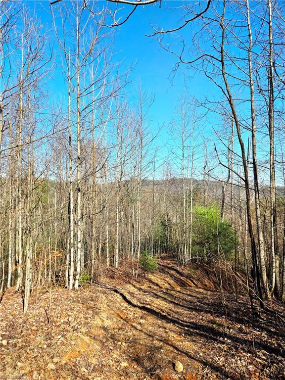 Tbd Eagle Hills Road, Unit EAGLE HILLS Purlear, NC 28665 - Photo 8 of 20