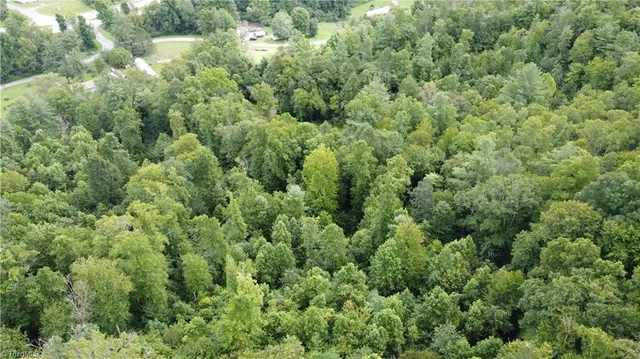 $115,000 | Tbd Eagle Hills Road, Unit EAGLE HILLS, Purlear, NC 28665