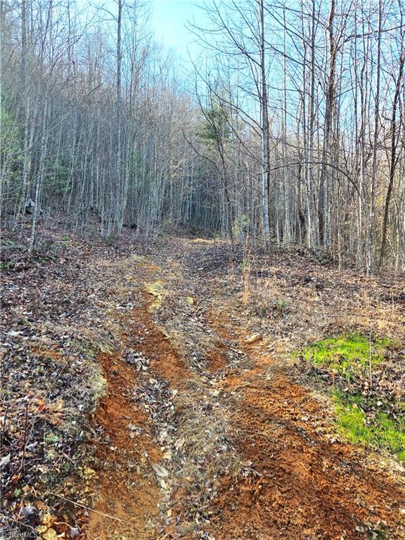 Tbd Eagle Hills Road, Unit EAGLE HILLS Purlear, NC 28665 - Photo 10 of 20