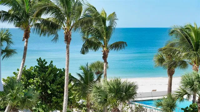 a view of a yard with palm trees
