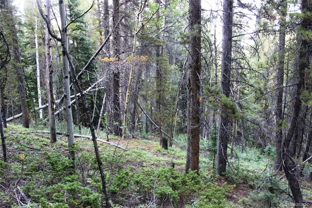 a view of outdoor space and tree