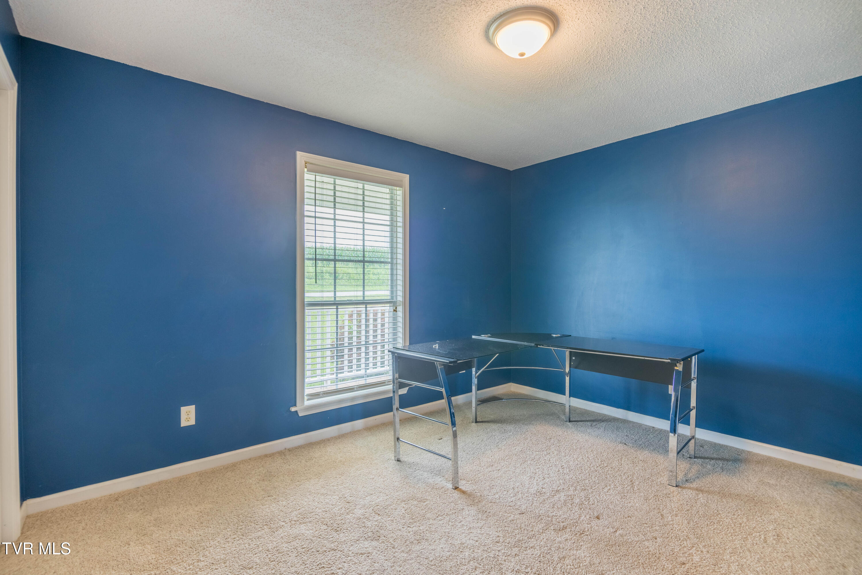 1230 Bowmantown Road Limestone, TN 37681 - Photo 17 of 40 087A5179-HDR