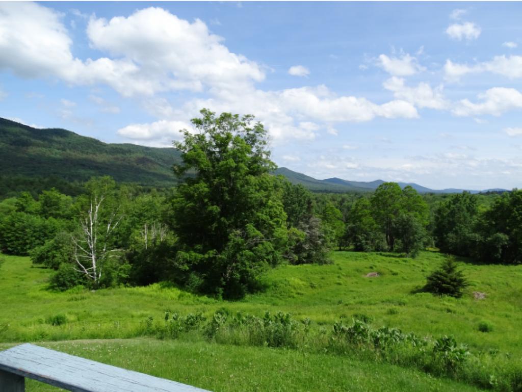 618 Butz Road Granville, VT 05747 - Photo 14 of 18 Gallery Image 14