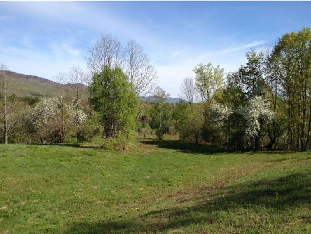 618 Butz Road Granville, VT 05747 - Photo 9 of 18 Gallery Image 9