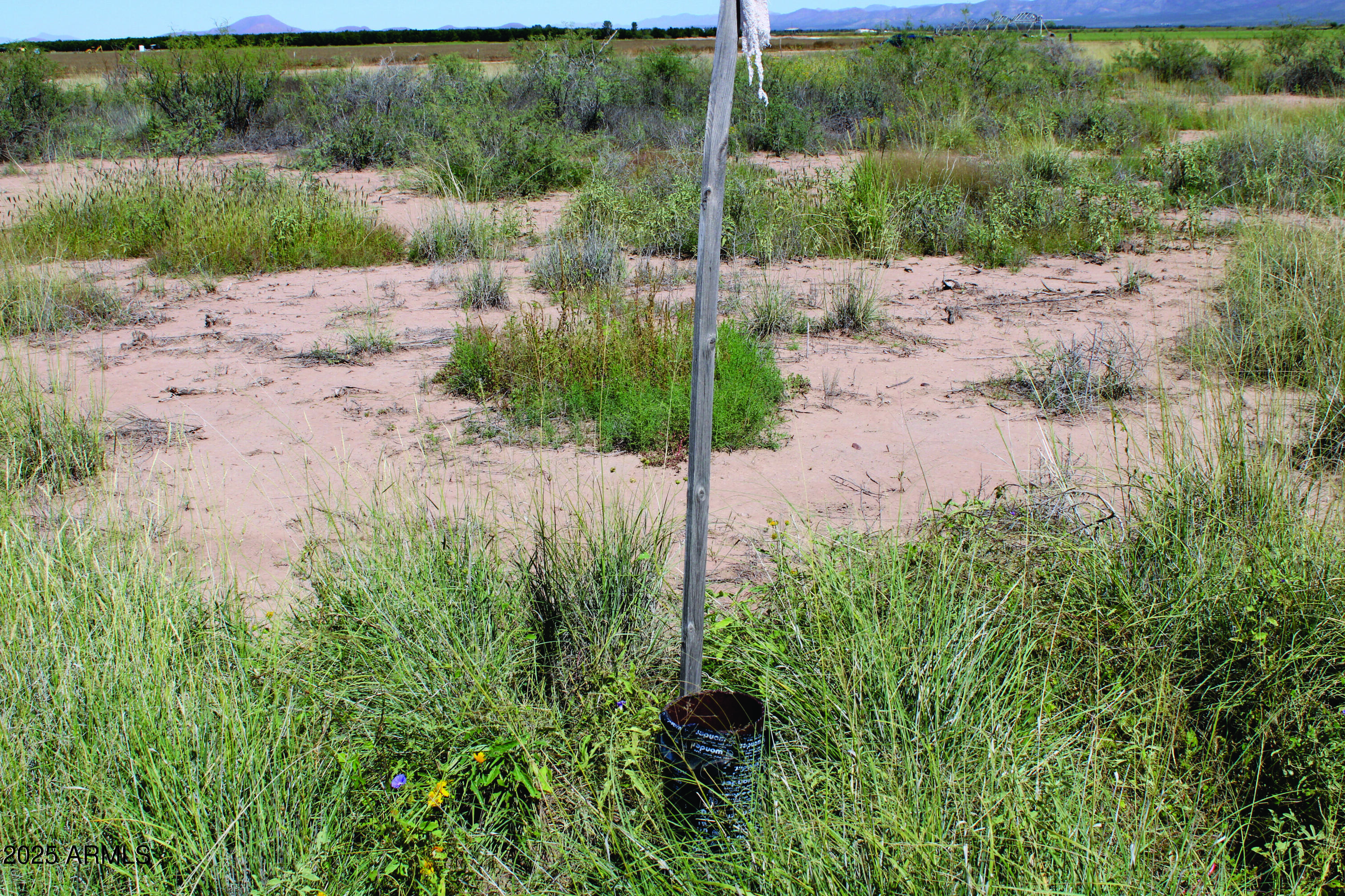36.94-acre West Latimer Road, Unit 5 McNeal, AZ 85617 - Photo 20 of 23 a view of a yard