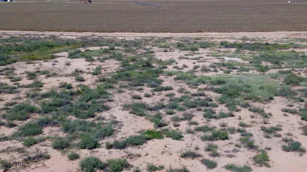 a view of a yard with a plants of house