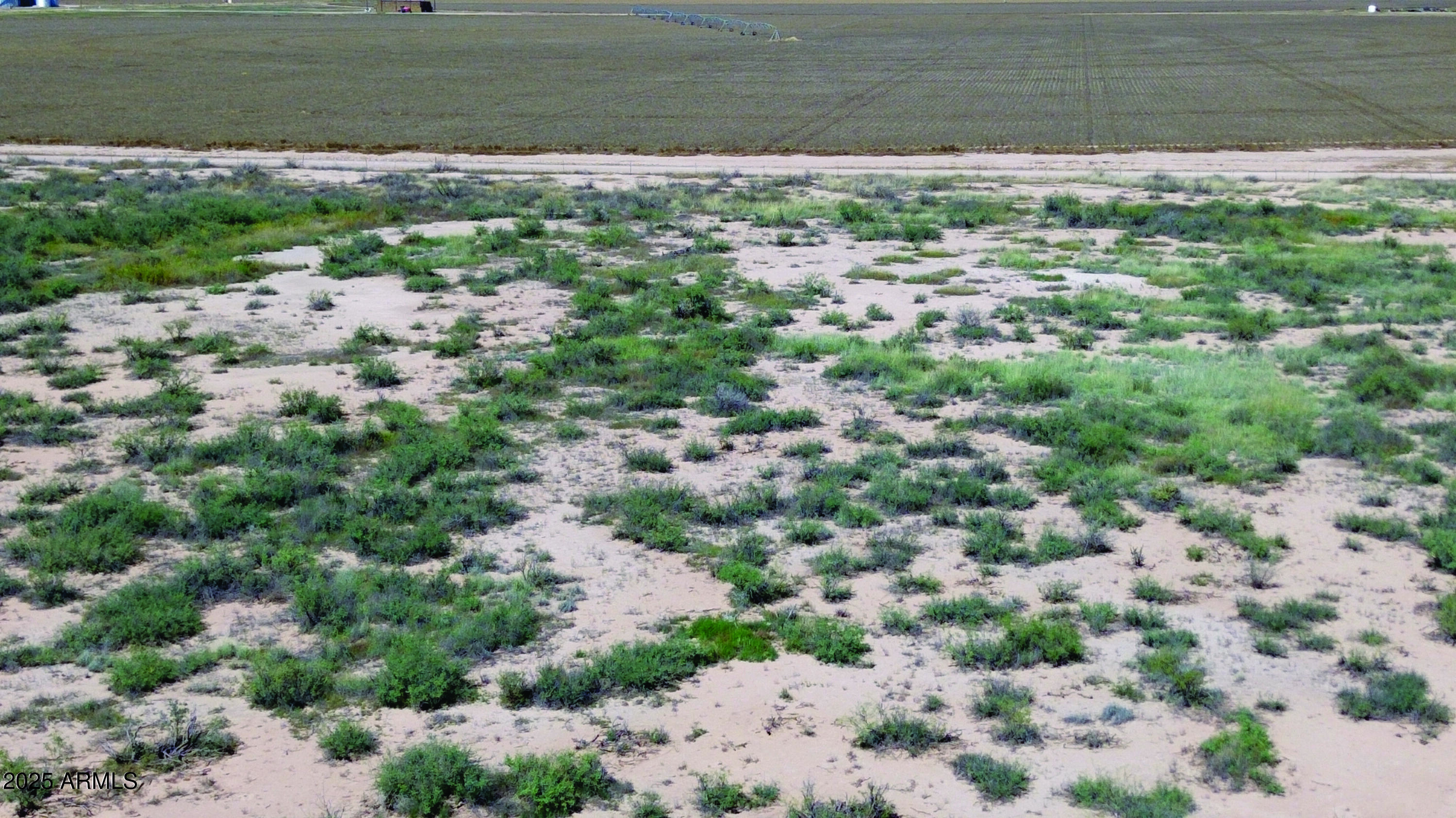 36.94-acre West Latimer Road, Unit 5 McNeal, AZ 85617 - Photo 9 of 23 a view of a yard with a plants of house