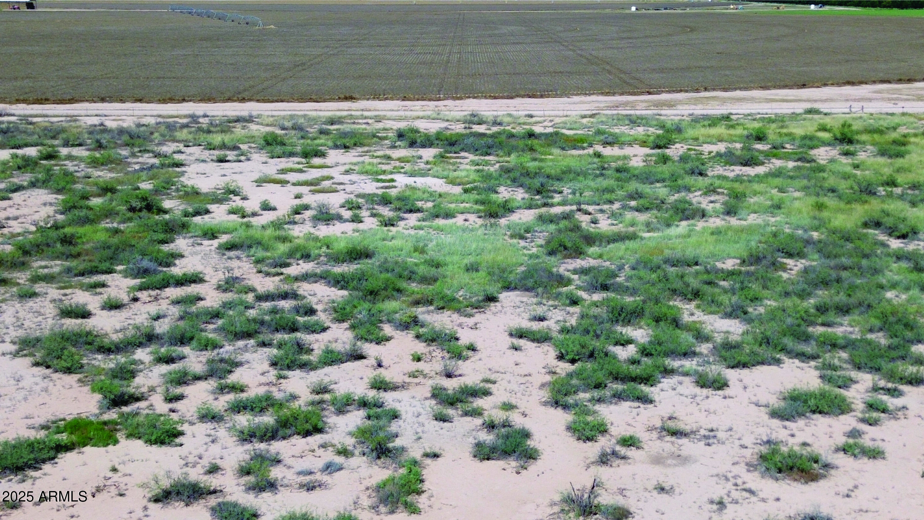36.94-acre West Latimer Road, Unit 5 McNeal, AZ 85617 - Photo 10 of 23 a view of a yard with a plants of house