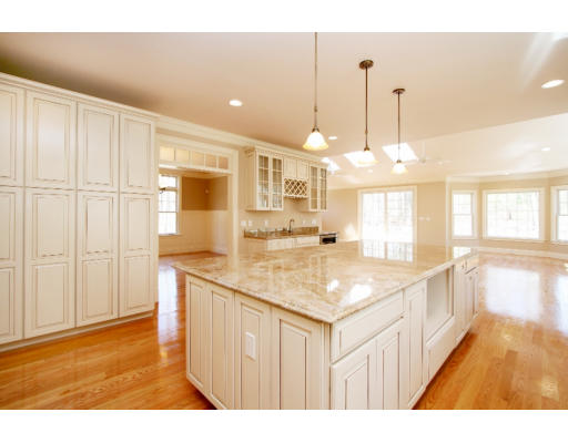 133 Shade Street Lexington, MA 02421 - Photo 1 of 21 a kitchen with granite countertop a sink a counter top space and cabinets