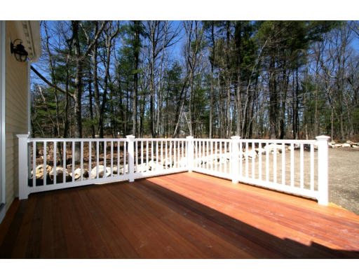 133 Shade Street Lexington, MA 02421 - Photo 20 of 21 a view of a chair and trees with the trees in the background