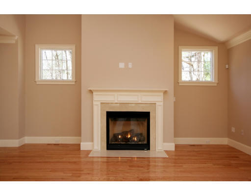 133 Shade Street Lexington, MA 02421 - Photo 8 of 21 a living room with a fireplace and a window