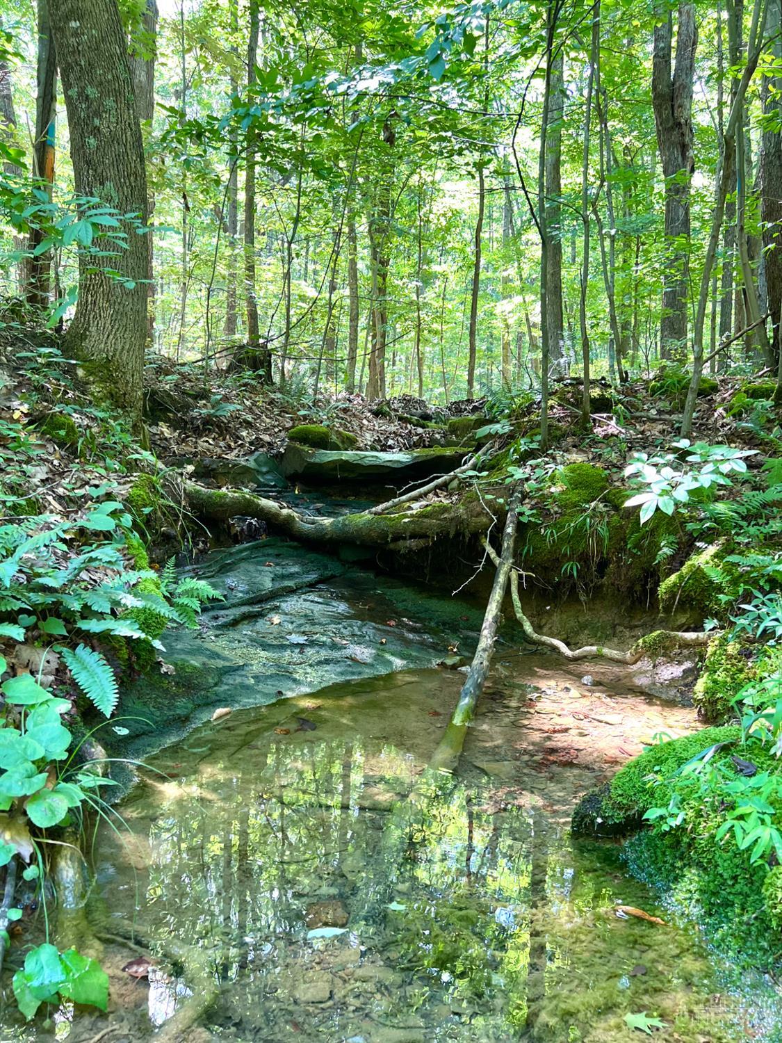 0 South Chenoweth Fork Road Piketon, OH 45661 - Photo 14 of 95