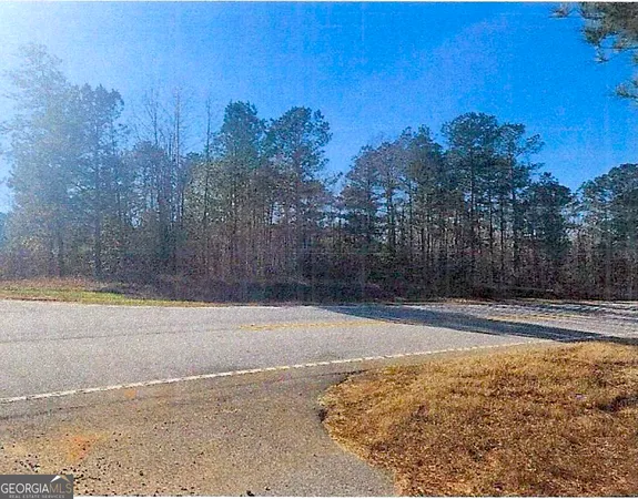 $55,000 | Eastern 1-2 Of Thomson Highway, Warrenton, GA 30828