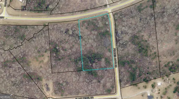 $55,000 | Eastern 1-2 Of Thomson Highway, Warrenton, GA 30828