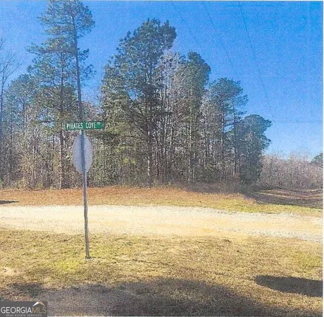 $55,000 | Eastern 1-2 Of Thomson Highway, Warrenton, GA 30828