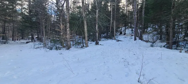 $120,000 | 8559 Highway 30, Unit LOTS 2 & 3, Jamaica, VT 05343