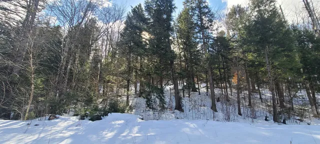 $120,000 | 8559 Highway 30, Unit LOTS 2 & 3, Jamaica, VT 05343
