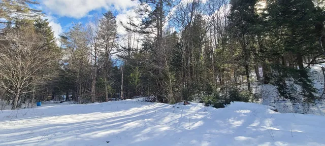 $120,000 | 8559 Highway 30, Unit LOTS 2 & 3, Jamaica, VT 05343