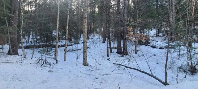 $120,000 | 8559 Highway 30, Unit LOTS 2 & 3, Jamaica, VT 05343