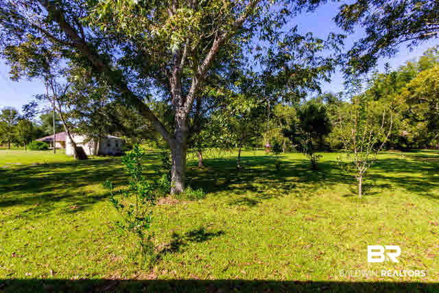 21675 Broad Street Silverhill, AL 36576 - Photo 24 of 31 Backyard View