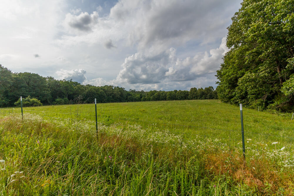 10175 Doe Run Road Phillipsburg, MO 65722 - Photo 12 of 18 IMG_9491