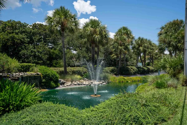a view of a garden with a fountain