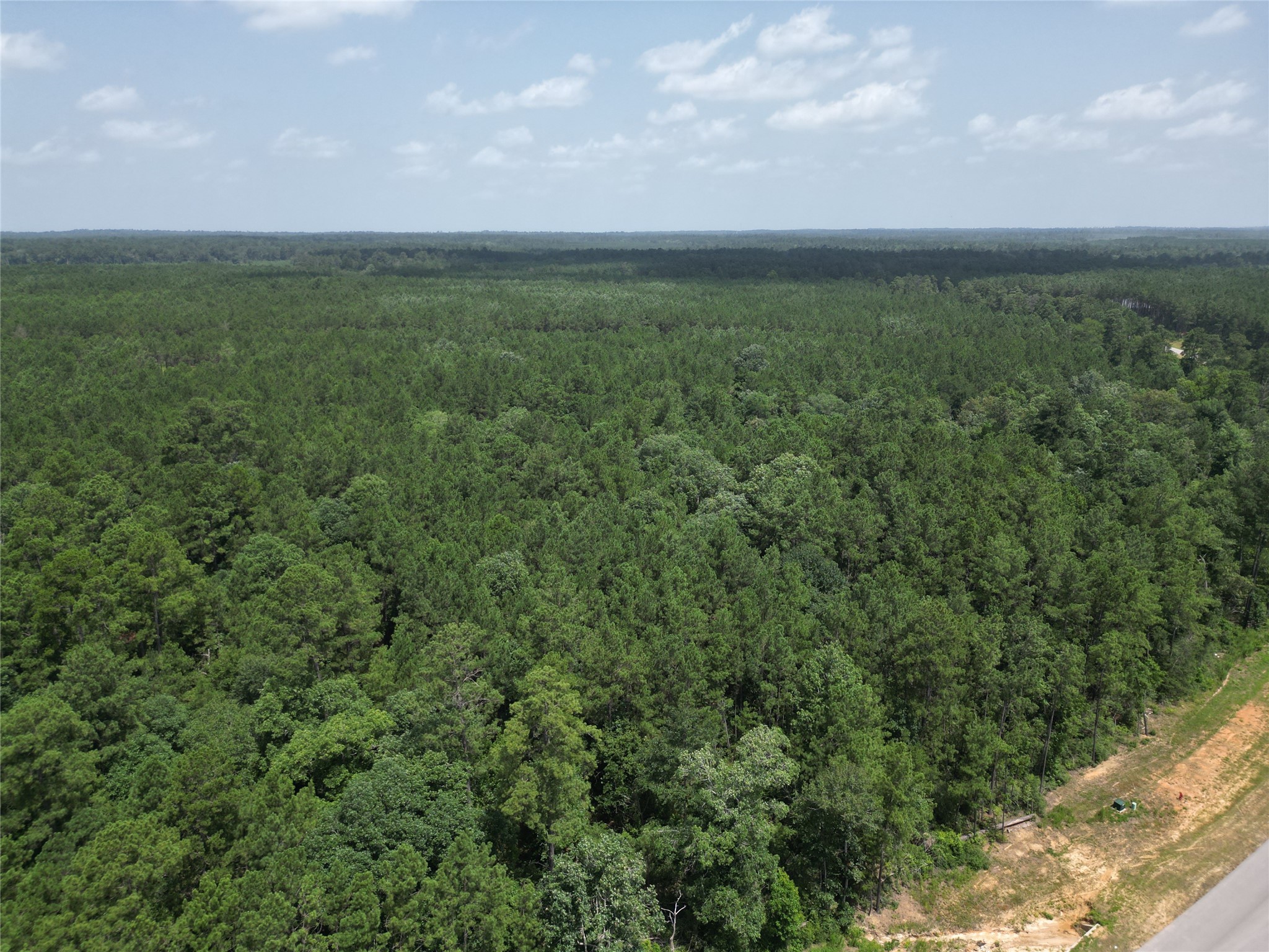 15884 Ridge Oak Road Willis, TX 77378 - Photo 11 of 24