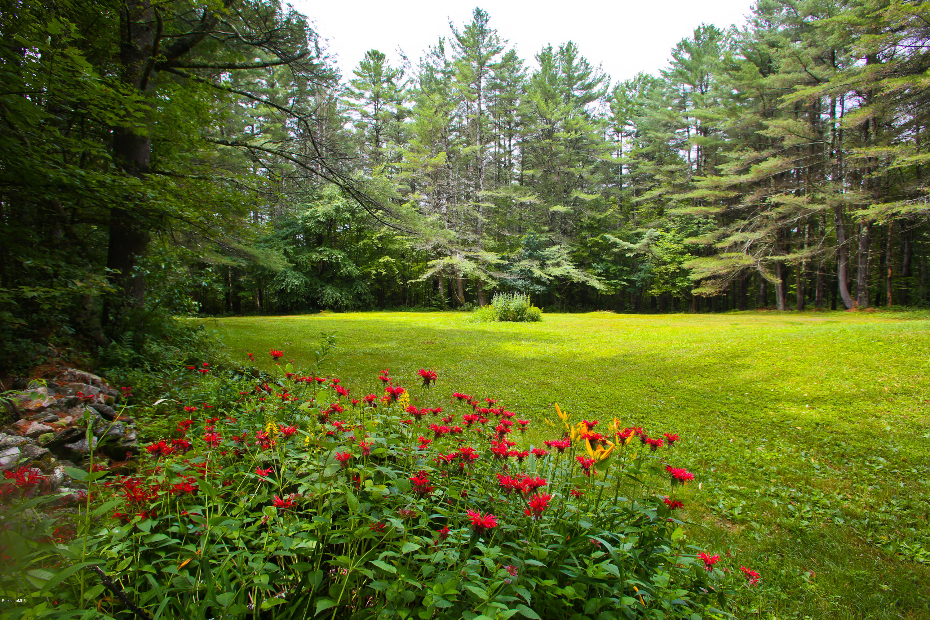 70 Brett Road Monterey, MA 01245 - Photo 3 of 16 a view of a field with plants and trees