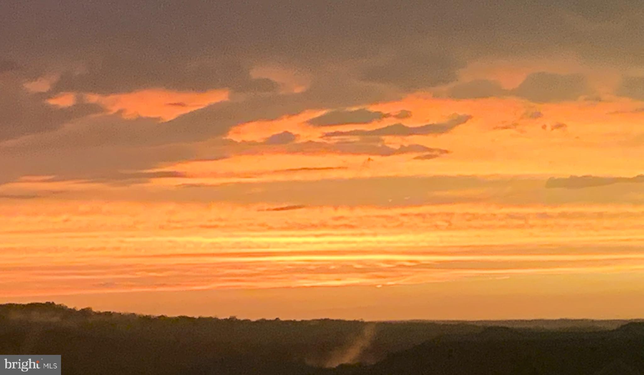 822 Orchard Tree Road Odenton, MD 21113 - Photo 50 of 90