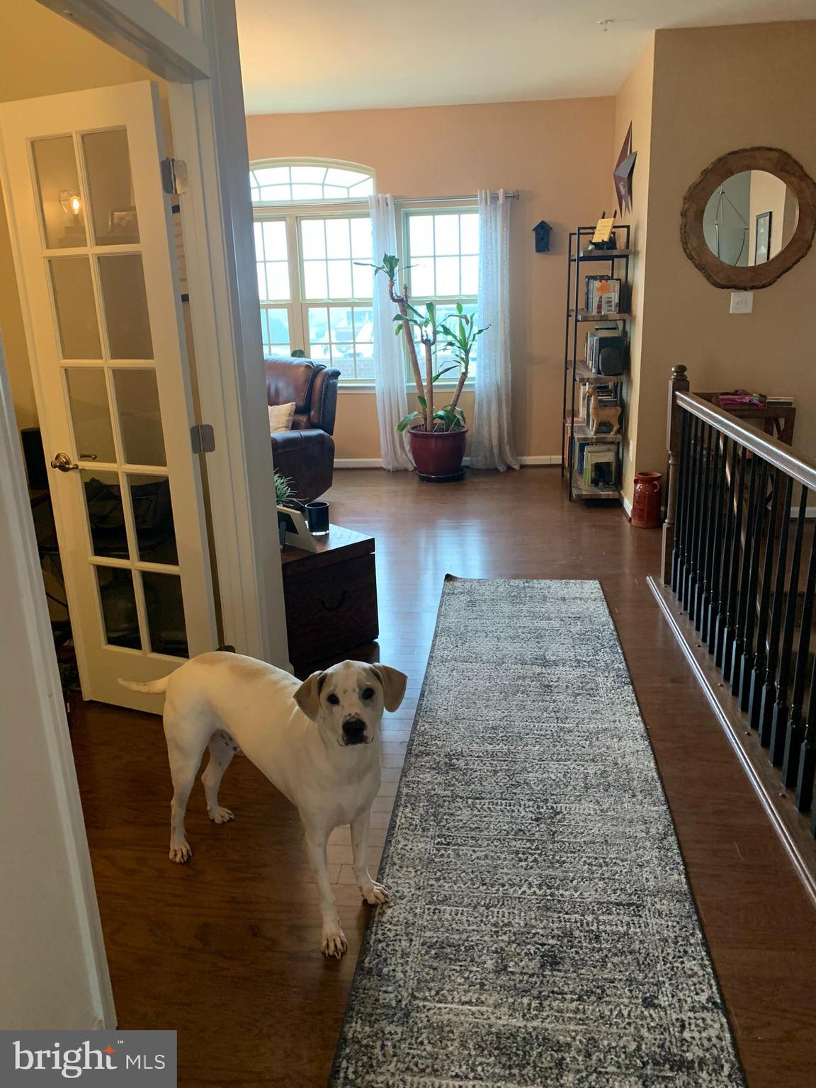 822 Orchard Tree Road Odenton, MD 21113 - Photo 69 of 90