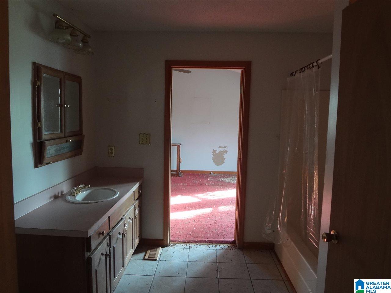 225 Pleasant Hills Road Odenville, AL 35120 - Photo 10 of 42