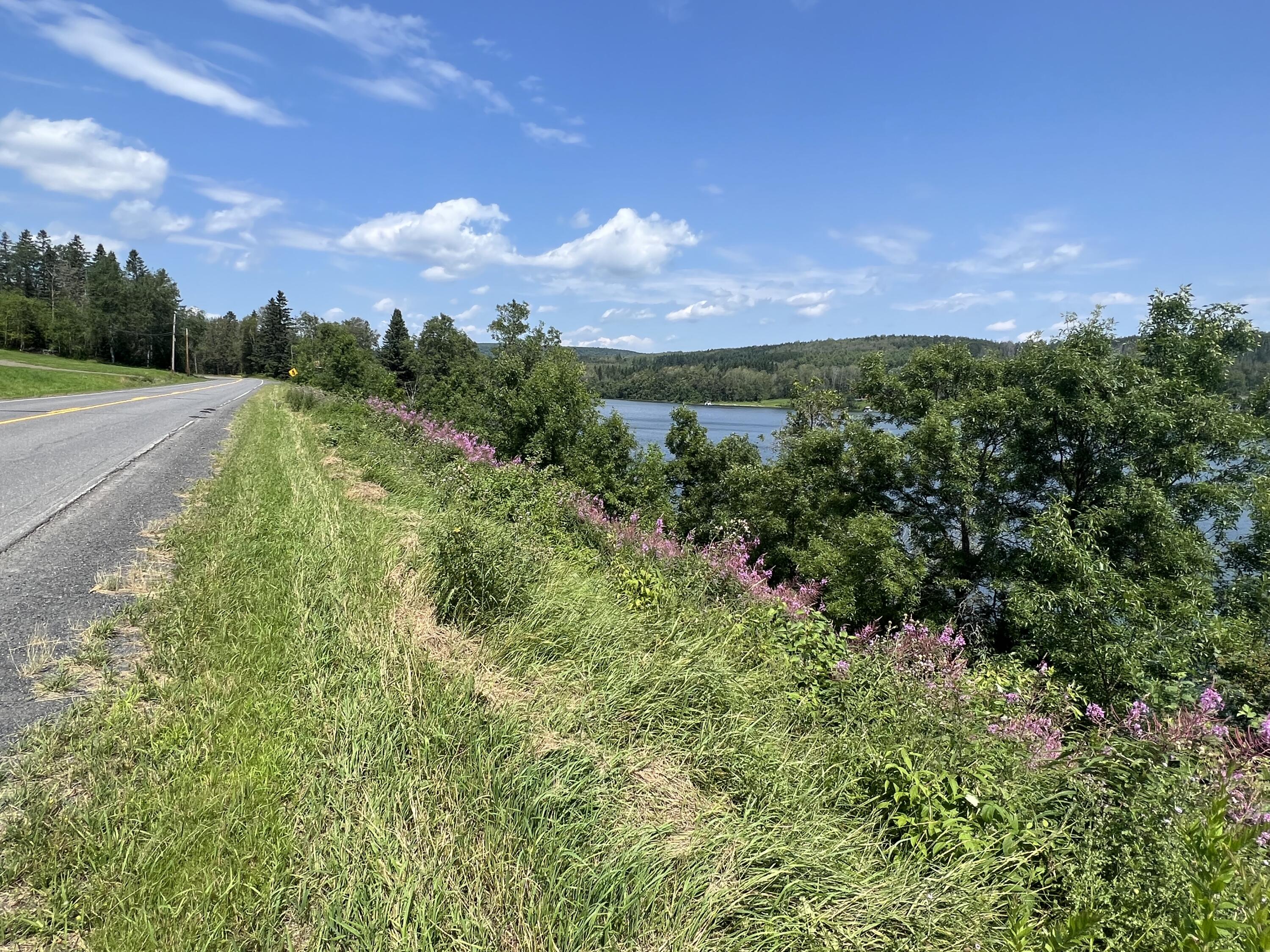 367 Cleveland Road St. Agatha, ME 04772 - Photo 11 of 33 IMG_8551
