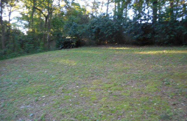109 Marikesh Drive Daphne, AL 36526 - Photo 9 of 11 BACKYARD