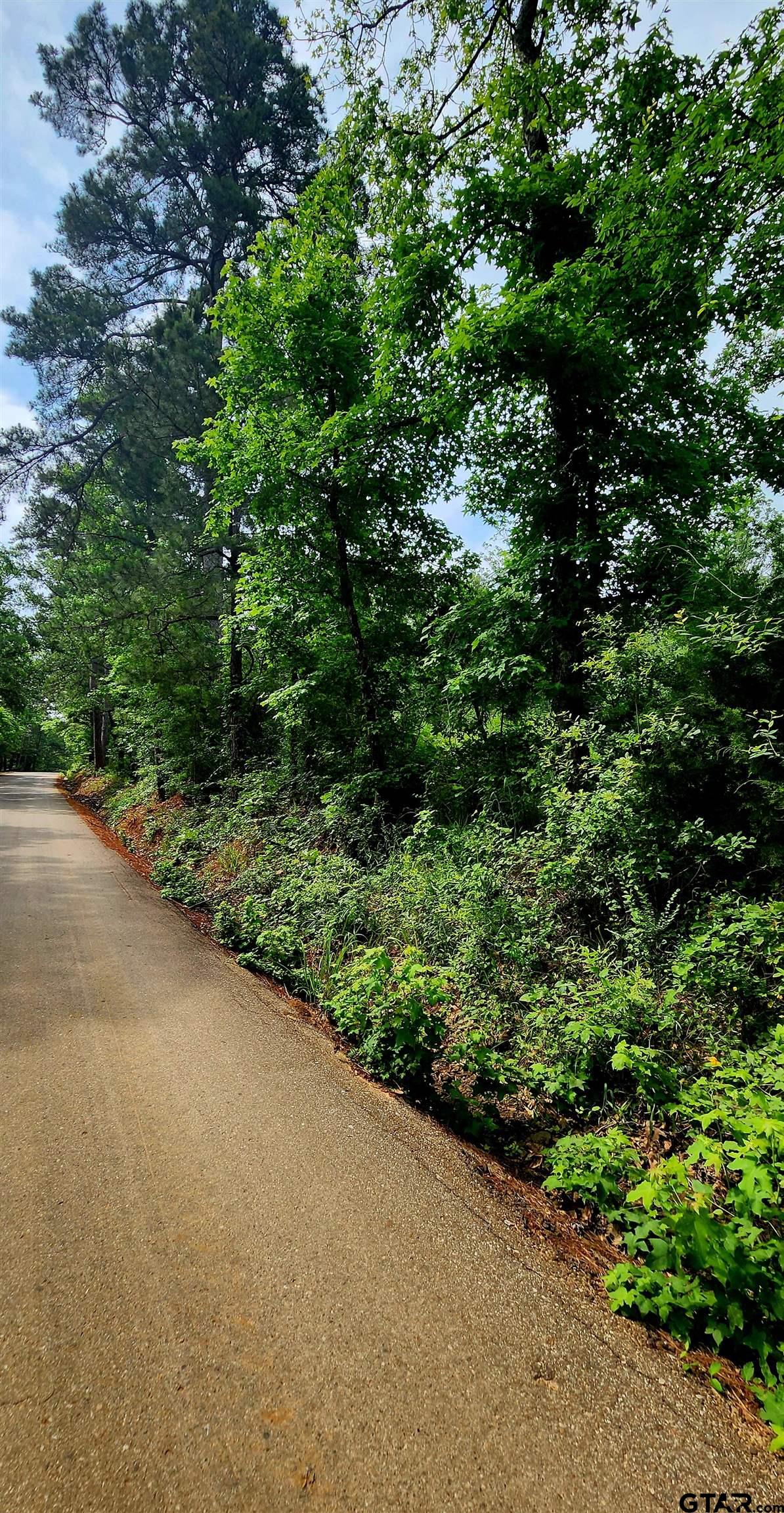 Tbd Bobwhite Road Gilmer, TX 75645 - Photo 2 of 7