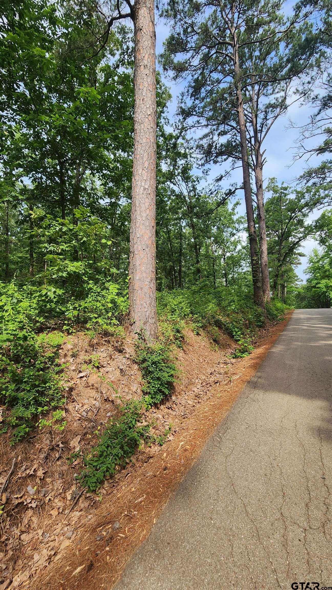 Tbd Bobwhite Road Gilmer, TX 75645 - Photo 3 of 7