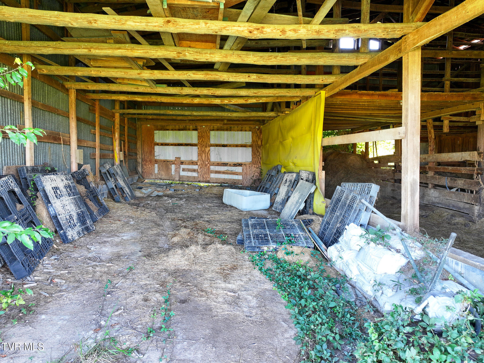 575 West Allens Bridge Road Greeneville, TN 37743 - Photo 57 of 70 DJI_20261005143754_0959_D