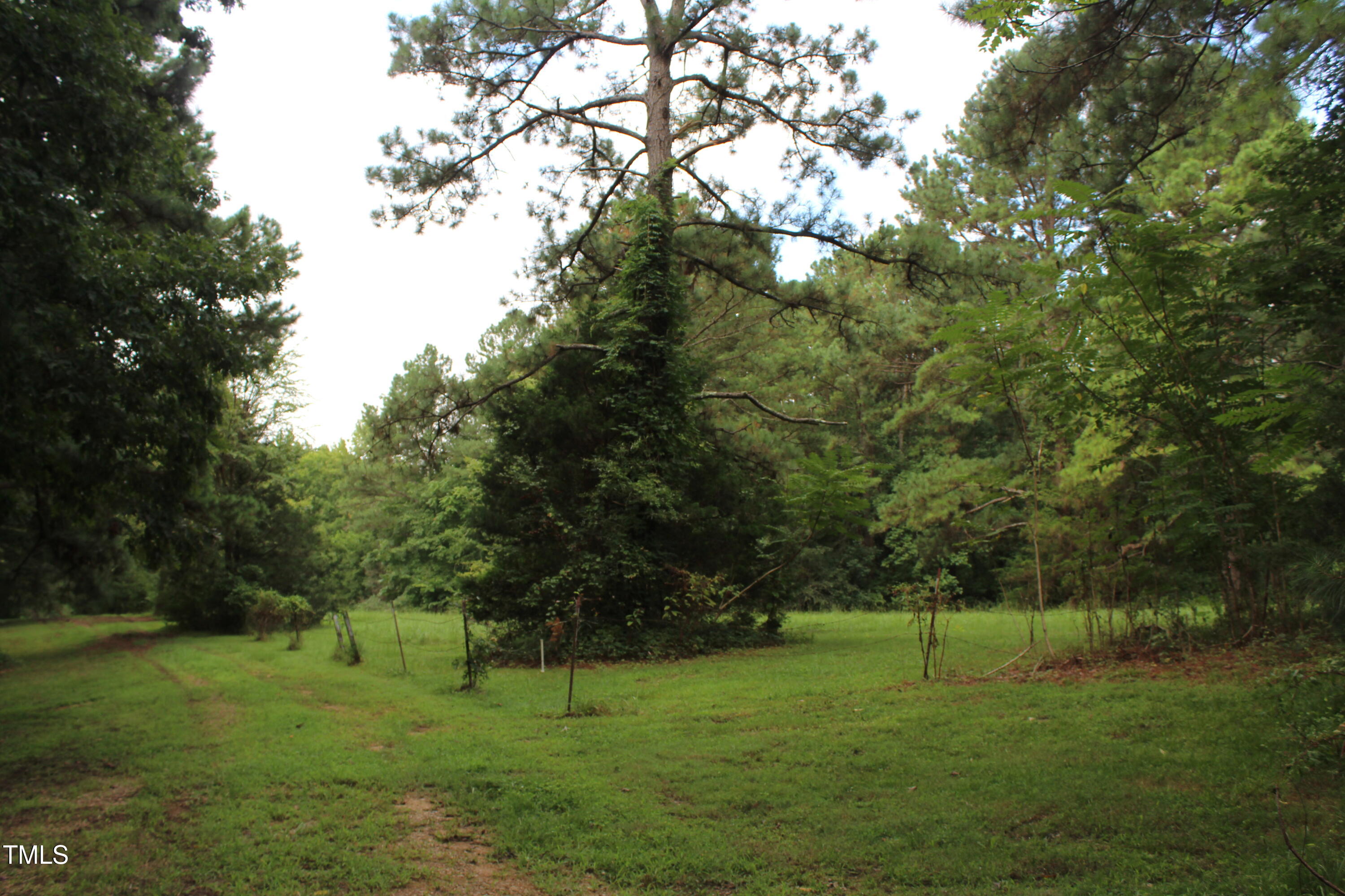 350 Hamp Falkner Road Henderson, NC 27537 - Photo 21 of 24 IMG_0270