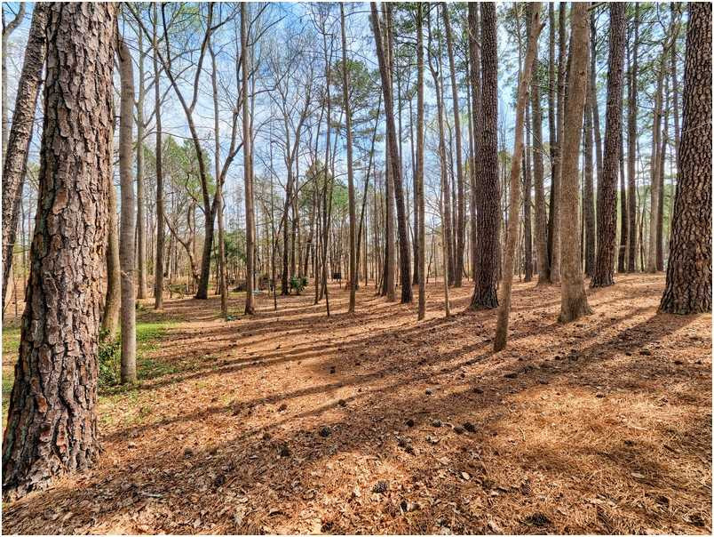 11416 Coachmans Way Raleigh, NC 27614 - Photo 23 of 25 Photo 23