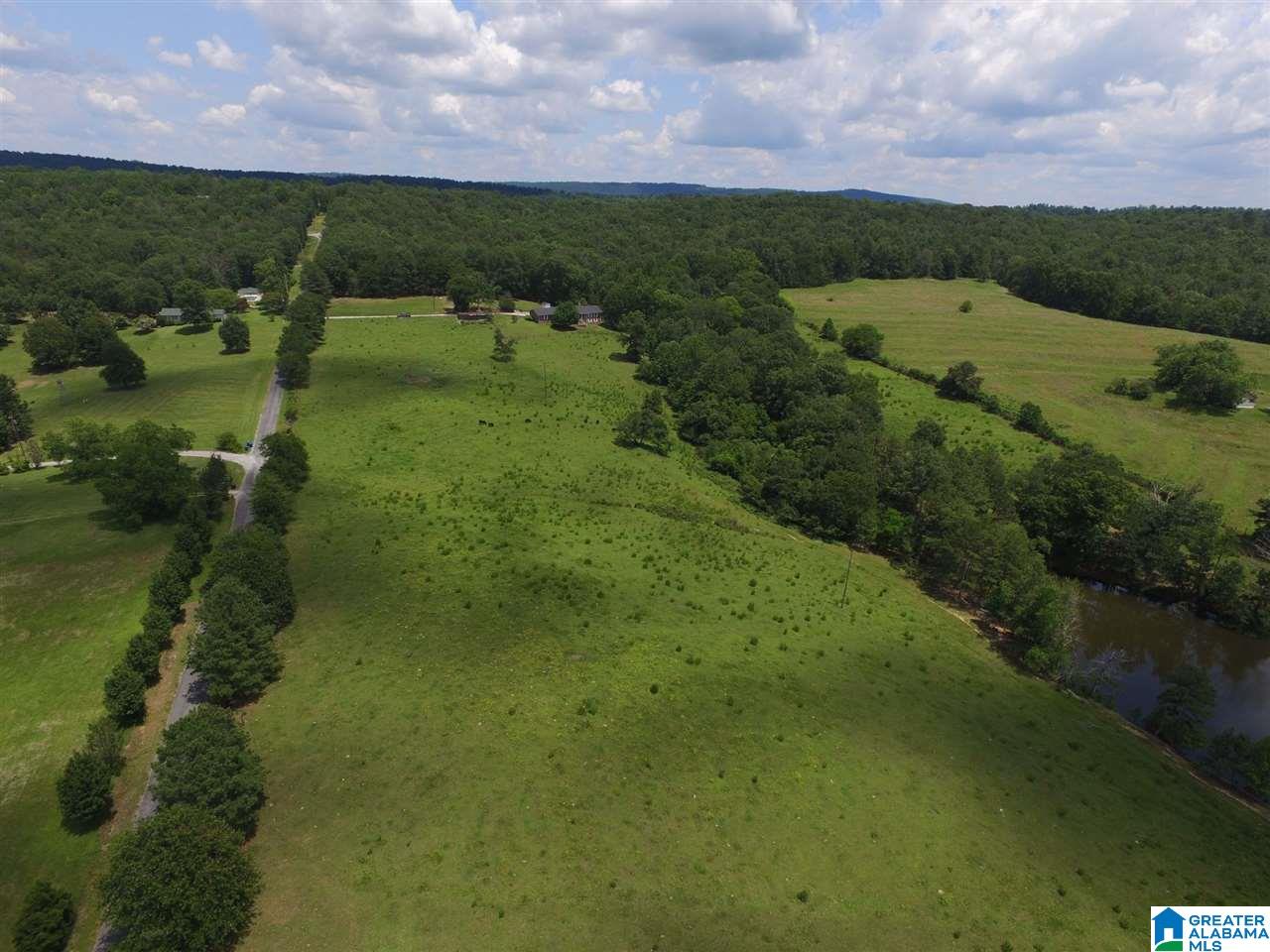 1900 Kiowa Road Remlap, AL 35133 - Photo 4 of 36