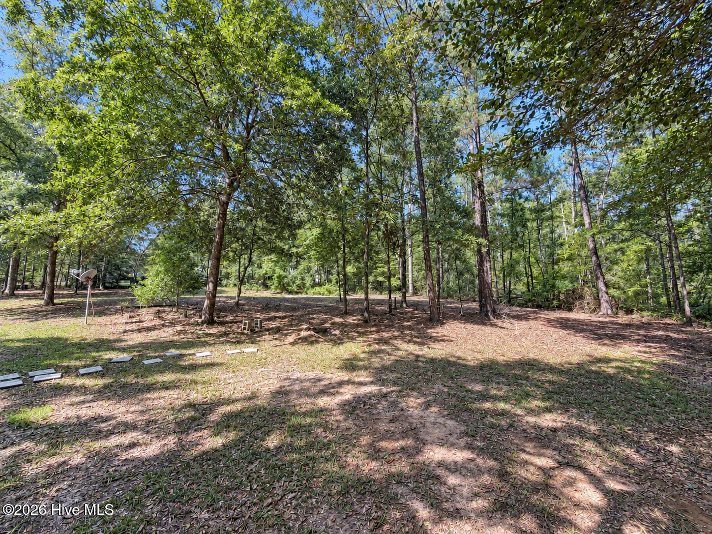 Very private and quiet 2.1 private acre lot. mostly wooded