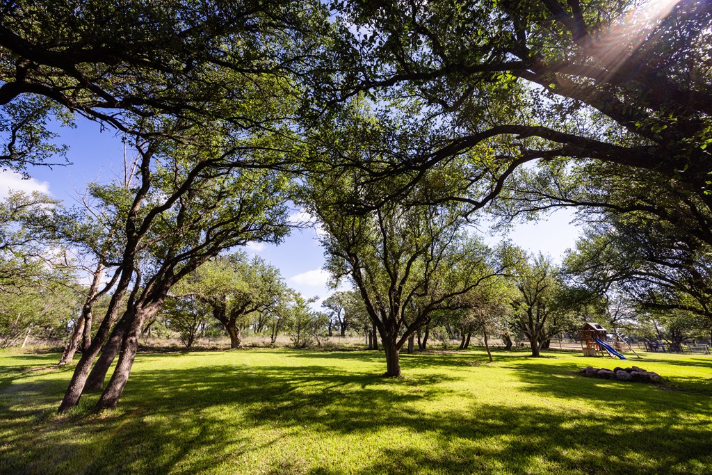 272 Schaper Road Fredericksburg, TX 78624 - Photo 6 of 41