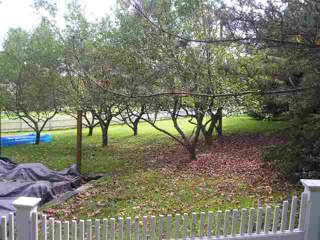 763 Turnpike Road Cambridge, NY 12816 - Photo 10 of 12 Photo 10
