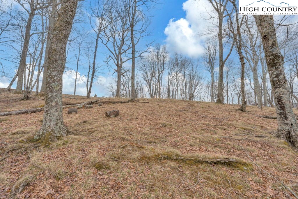Lot #57 Snowcrest Lane Boone, NC 28607 - Photo 11 of 14