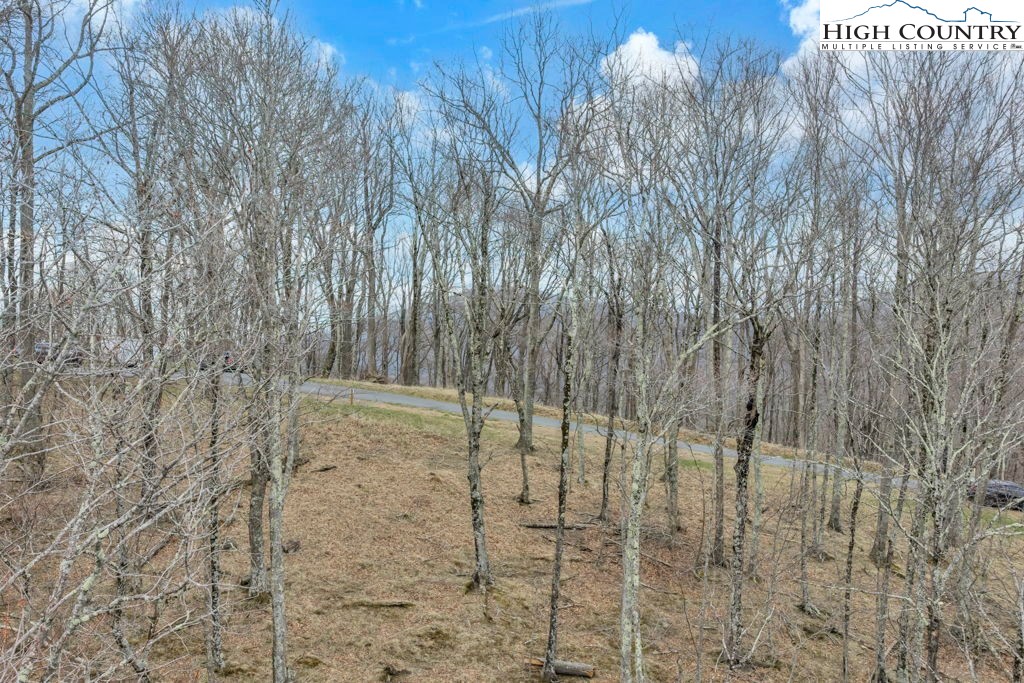 Lot #57 Snowcrest Lane Boone, NC 28607 - Photo 13 of 14