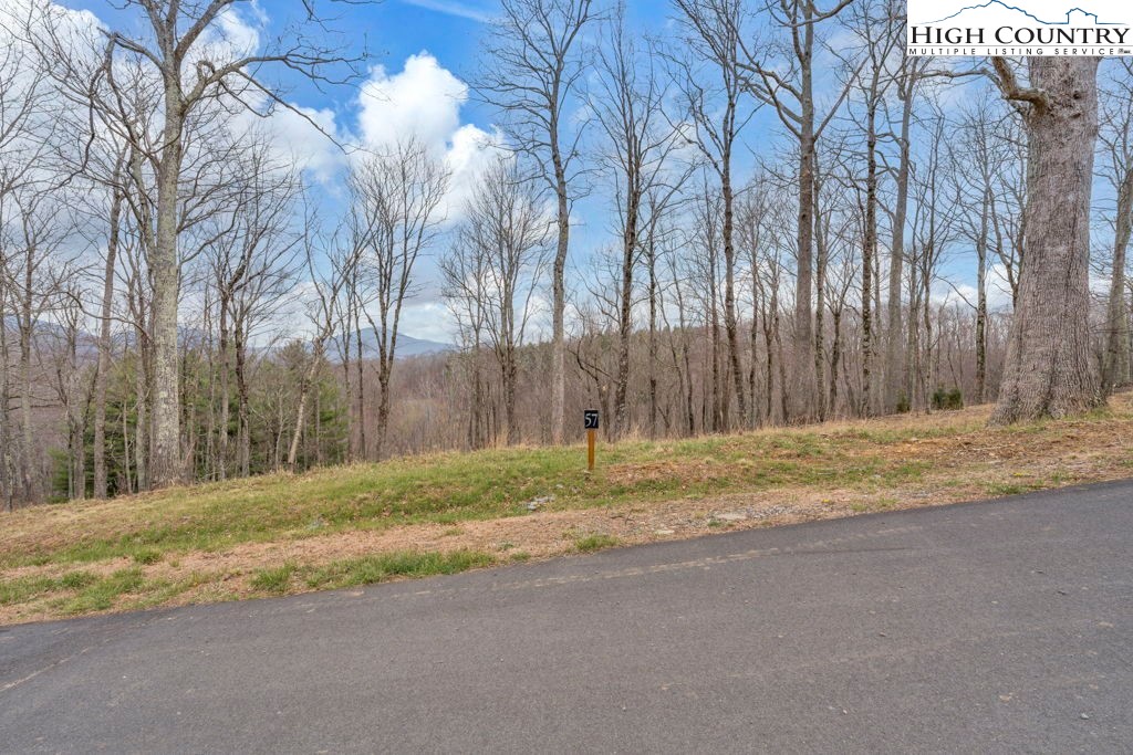 Lot #57 Snowcrest Lane Boone, NC 28607 - Photo 2 of 14