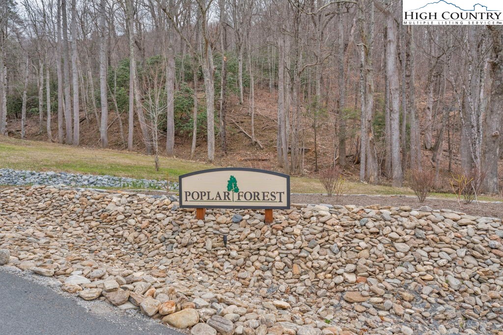 Lot #57 Snowcrest Lane Boone, NC 28607 - Photo 3 of 14