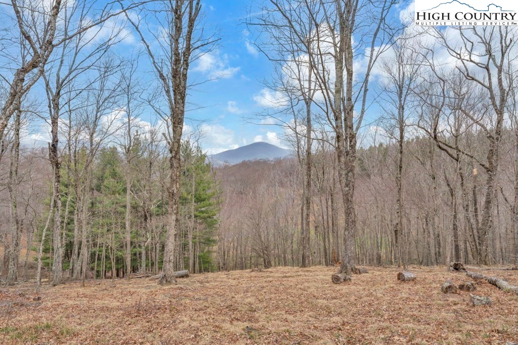 Lot #57 Snowcrest Lane Boone, NC 28607 - Photo 8 of 14