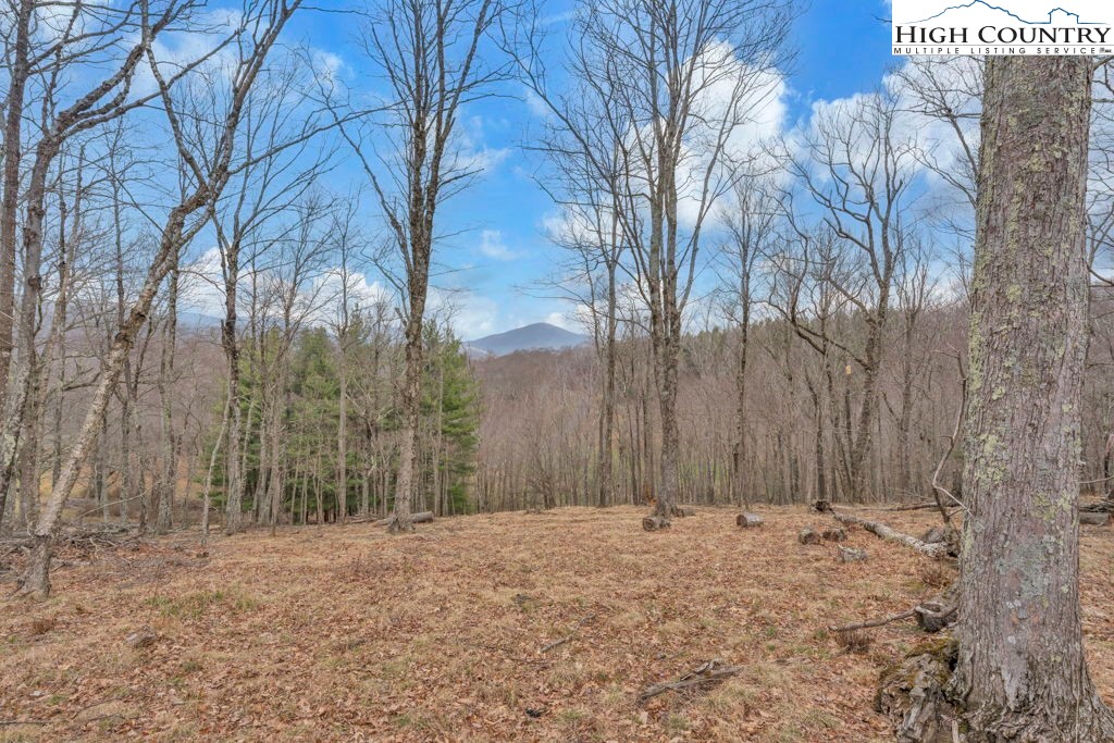 Lot #57 Snowcrest Lane Boone, NC 28607 - Photo 9 of 14