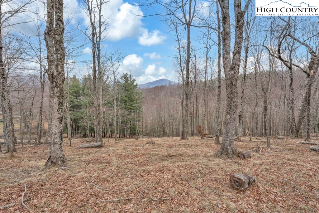 Lot #57 Snowcrest Lane Boone, NC 28607 - Photo 10 of 14