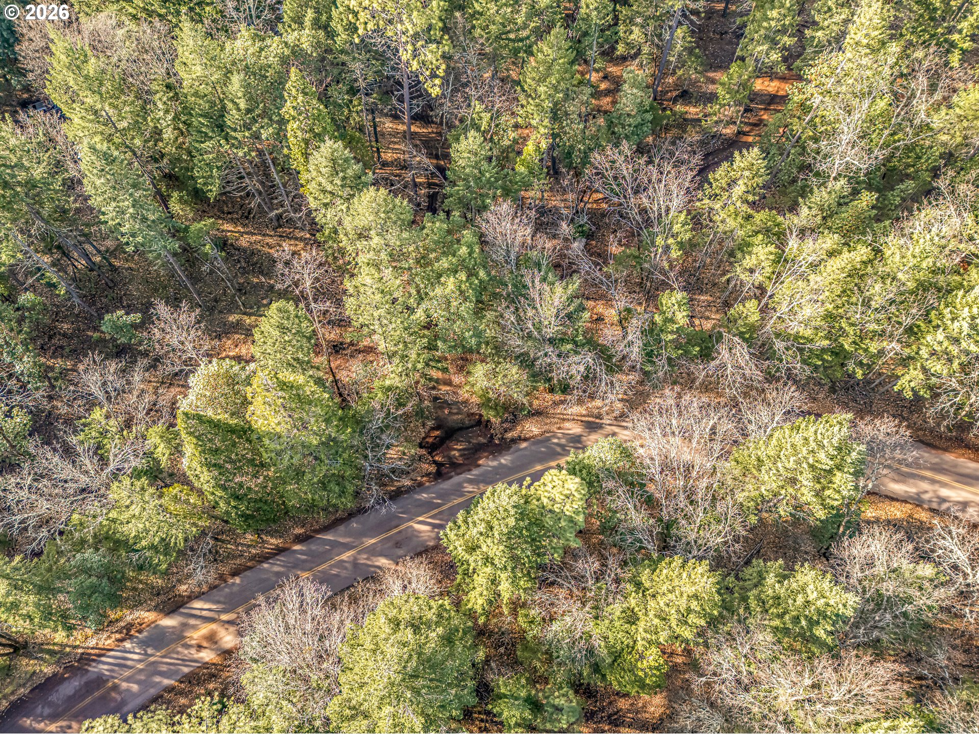 289 Elder Mill Road Trail, OR 97541 - Photo 12 of 18